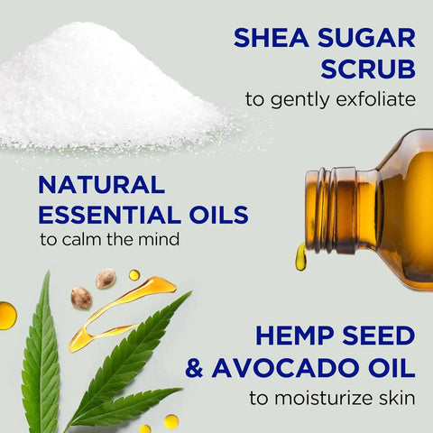 Dr Teal's Shea Sugar Body Scrub, Cannabis Sativa Hemp Seed Oil with Essential Oils, 19 oz (Pack of 3)